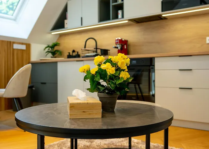 Luxury Penthouse With Terrace *